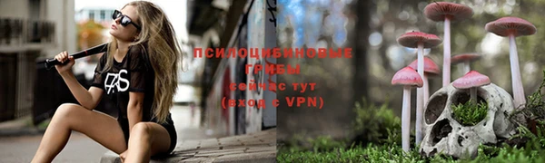 сатива Алексин