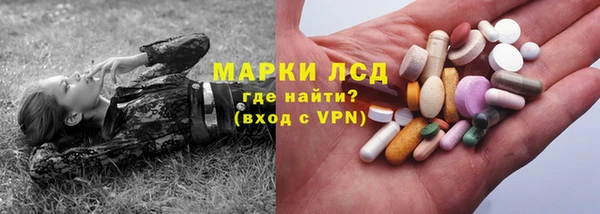 ПСИЛОЦИБИНОВЫЕ ГРИБЫ Алзамай
