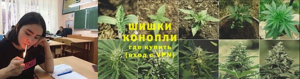 сатива Алексин