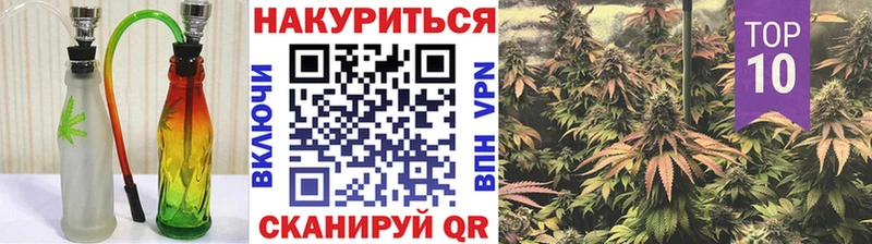 Каннабис ГИДРОПОН  Бердск 